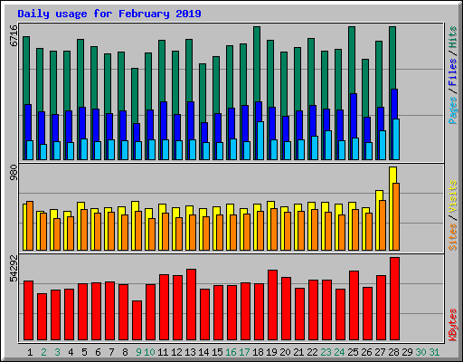 Daily usage for February 2019