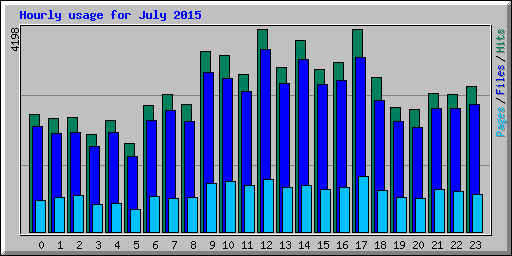 Hourly usage for July 2015