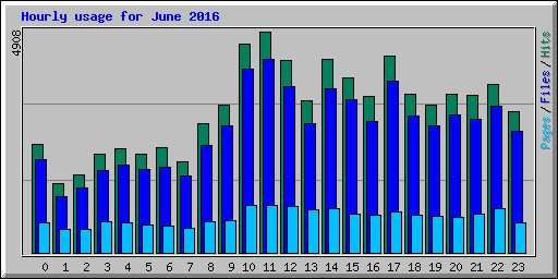 Hourly usage for June 2016