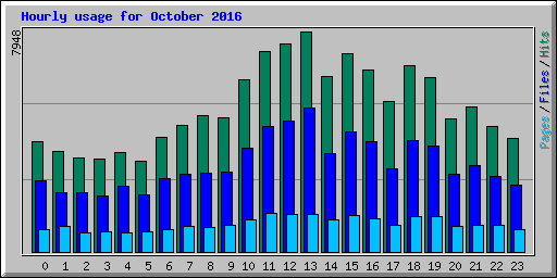 Hourly usage for October 2016