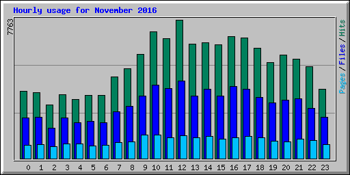 Hourly usage for November 2016