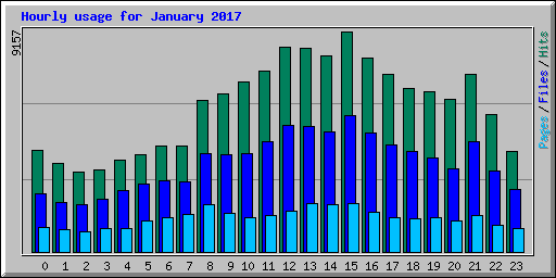 Hourly usage for January 2017