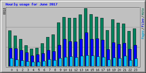 Hourly usage for June 2017