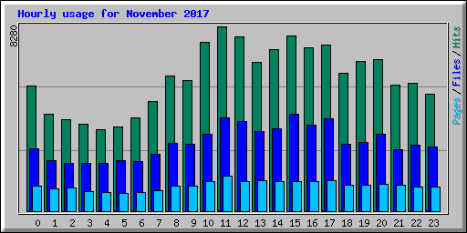 Hourly usage for November 2017