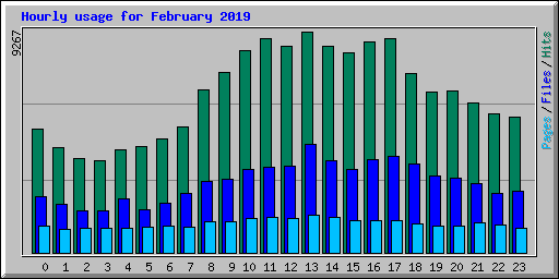 Hourly usage for February 2019